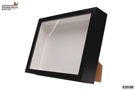 timber shadow box display cases australian entomological supplies