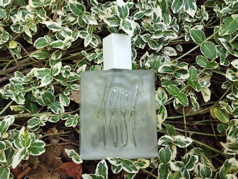 1881 Men Cerruti cologne - a fragrance for men 1990