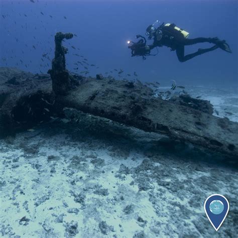 Noaas Office Of National Marine Sanctuaries — Happy Birthday To