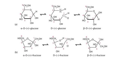 Structure Of Glucose Fructose And Sucrose