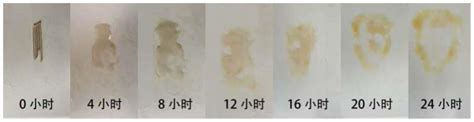 一种高分子热熔胶及其制备方法与流程