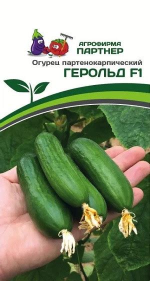 Купить "3076P Огурец ГЕРОЛЬД F1 5 шт " По 110 руб. - 🌷Семена ТМ Партнер🌷