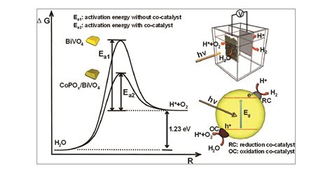 Photocatalytic Water Oxidation On Bivo With The Electrocatalyst As An