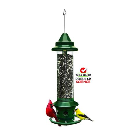 Best Squirrel Proof Bird Feeder - All You Need Infos