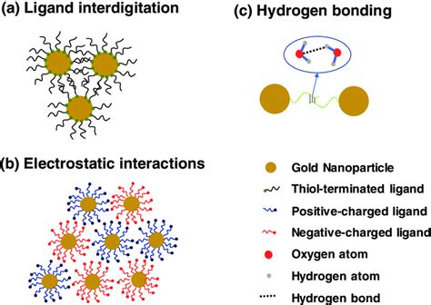 Molecular Ligand Ligand Interactions Towards Nanoparticle Download Scientific Diagram