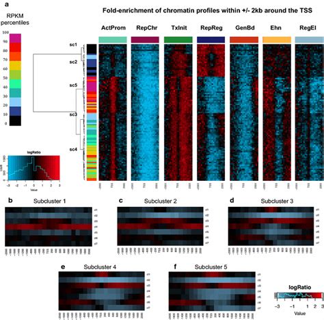 Association Between Patterns Of Chromatin Profiles And Expression