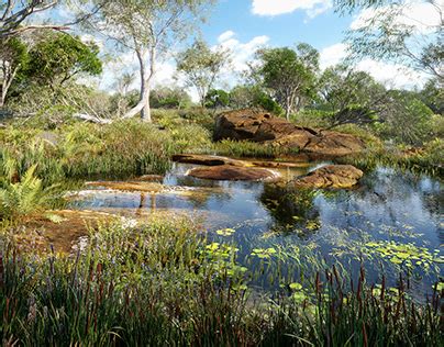 Wetland Plants Projects :: Photos, videos, logos, illustrations and ...