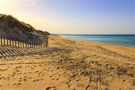 The Regional Natural Park Dune Costiere Torre Canne Fence Between