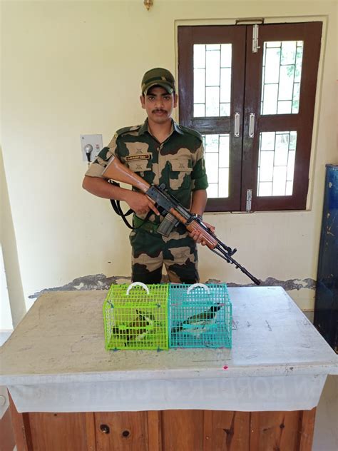 Bsf South Bengal Kolkata On Twitter Bsf Rescued Exotic