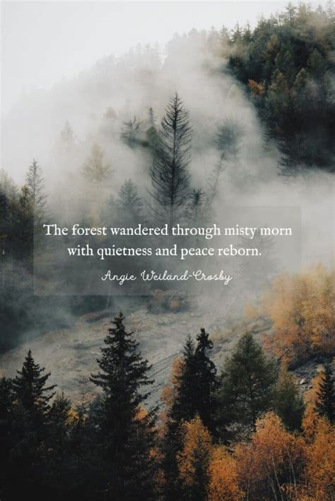 20 Inspiring Forest Quotes to Help You Reconnect with Nature