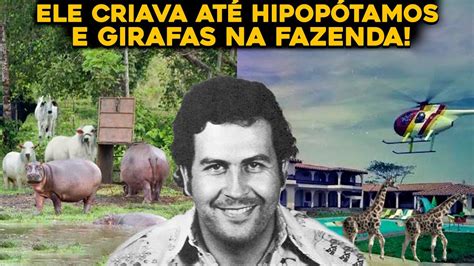 Como Era A Fazenda De Pablo Escobar A Mais Bizarra Que J Existiu