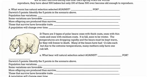 Types Of Natural Selection Worksheet