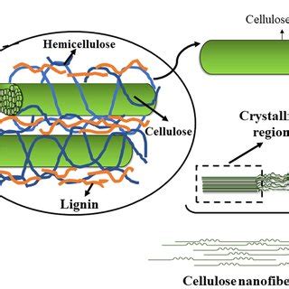 Schematic Representation Of Nanocellulose From Biomass And Its Final