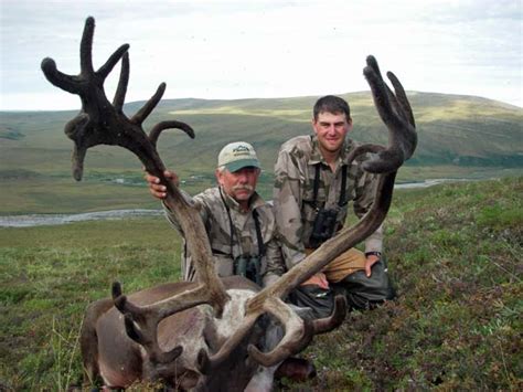 Caribou Hunting Photo Gallery | Arctic North Guides