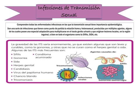 Infecciones de transmisión sexual Mirna Quej uDocz