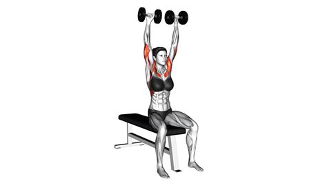 Dumbbell Bench Seated Press Female Video Guide And Tips For Effective Workout