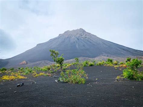 Isla De Fogo Excursi N A La Cumbre Del Volc N Pico Do Fogo Getyourguide