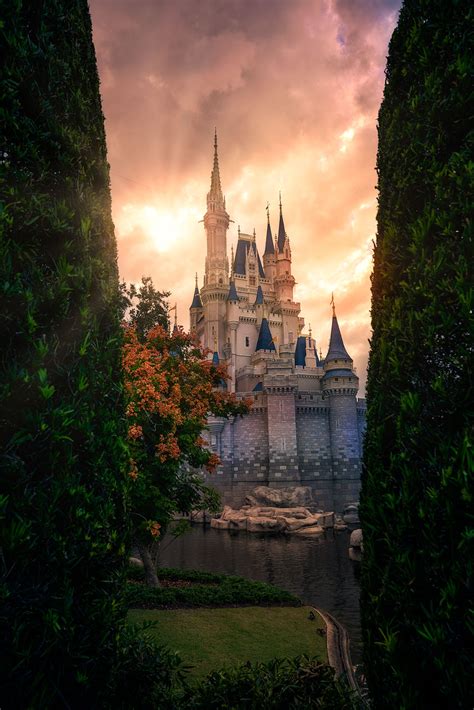 Cinderella Castle Sunset Between Two Trees — Matthew Cooper Photography