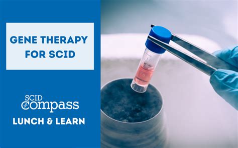 Gene Therapy Research Progresses | SCID Compass