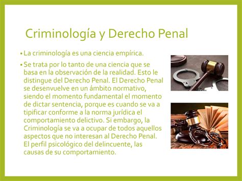 Solution Criminologia Y Derecho Penal Studypool