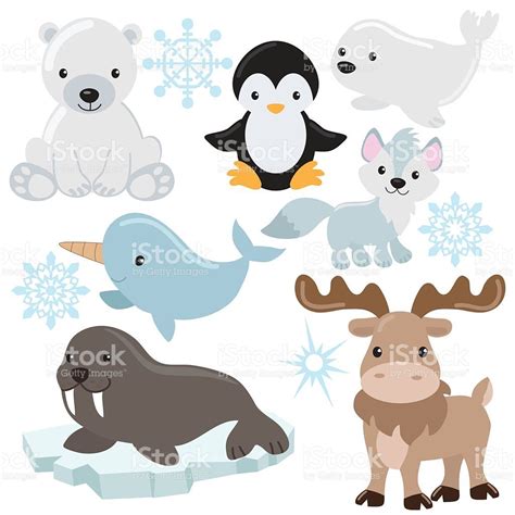 Arctic Animal Vector Illustration Arctic Animals For Kids Arctic