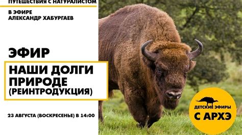 Детский эфир "Наши долги природе (реинтродукция)" в рамках рубрики ...