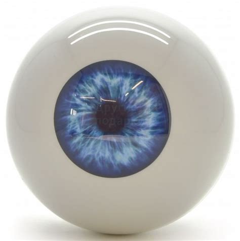 Магический шар "Око": лучшая цена и магазины, где купить