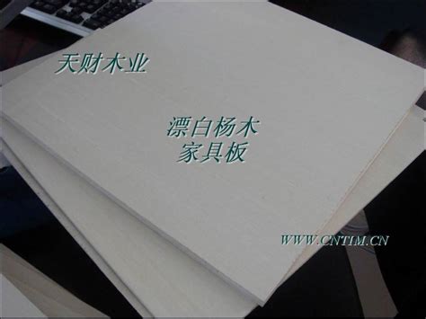 木板材 临沂天财15mm漂白杨木胶合板 Carb认证胶合板 九正建材网