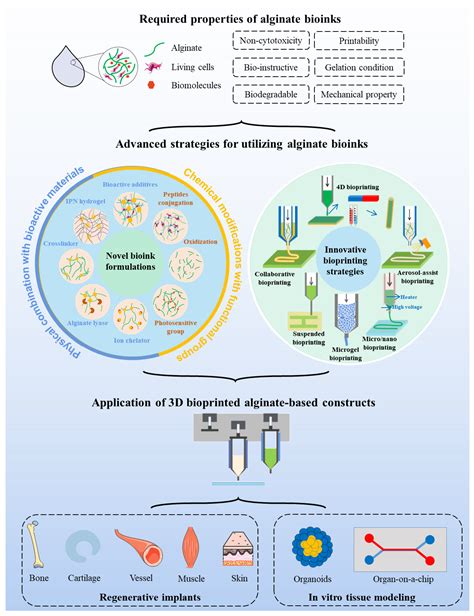 Marine Drugs Free Full Text Advanced Strategies For 3d Bioprinting