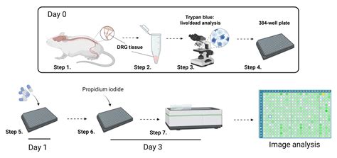 细胞生物学 BIO PROTOCOL