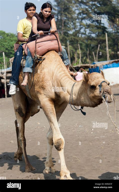 Devka Beach Daman Hi Res Stock Photography And Images Alamy