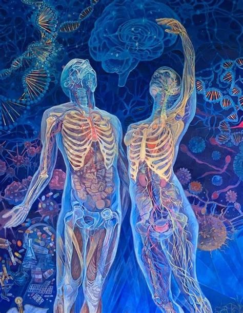 Pin By Pinner On Anatomy Art Biology Art Funky Art