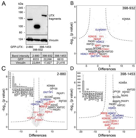 Cancers Free Full Text Alternative Mrna Splicing Controls The