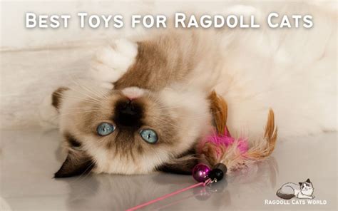 Best Toys For Ragdoll Cats 2023