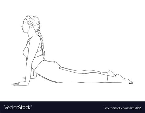 Yoga Cobra Pose Or Bhujangasana Woman Practicing Vector Image