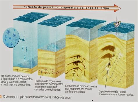 Esquematização da formação do petróleo e do gás natural Autor