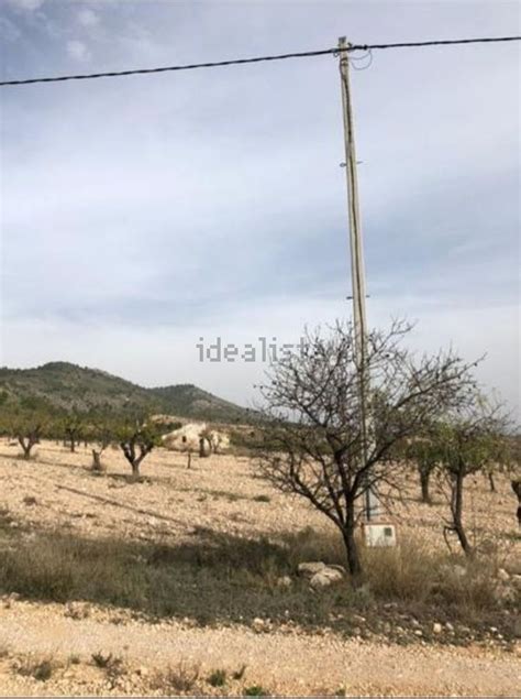 Terreno En Venta En Paraje La Boquera S N Salinas Idealista