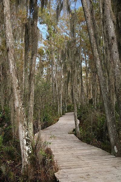 Loxahatchee National Wildlife Refuge | park, wetland, nature ...