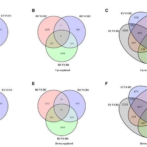 Venn Diagrams Of Differentially Expressed Genes Degs In Different Download Scientific Diagram