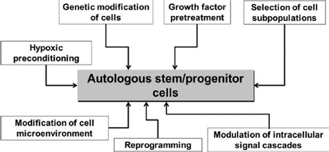 Variety of approaches for pretreatment or modification to enhance the ... 