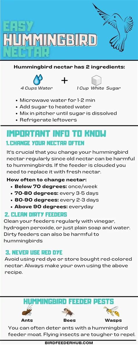 how often to change hummingbird feeder