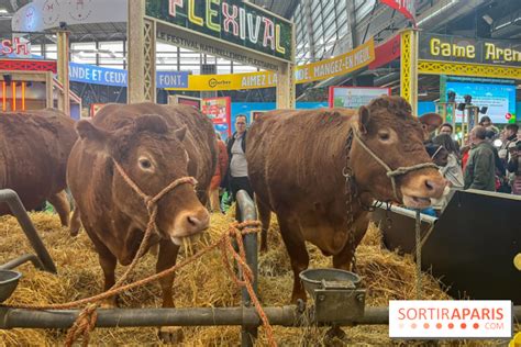 Salon de l Agriculture 2024 w Paryżu nasze zdjęcia z 60 wystawy