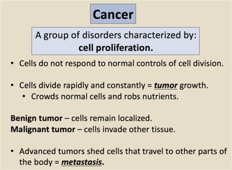 Chapter 23 Flashcards Quizlet