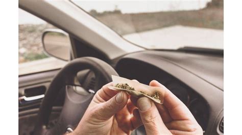 Drug Impaired Driving How Cannabis Impairs Drivers