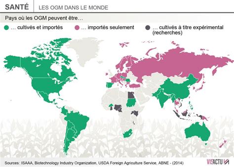 Le maïs OGM de Monsanto autorisé mais pourtant toujours interdit