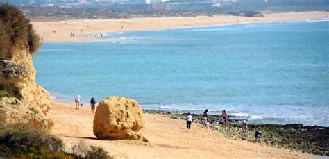 Proposta Para Cria O De Parque Marinho Do Algarve Entregue Hoje Ao