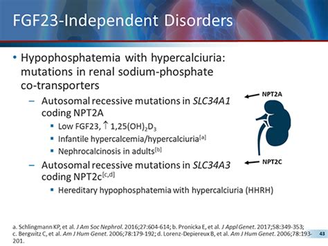 Hereditary Hypophosphatemia Diagnostic Challenges And Potential New