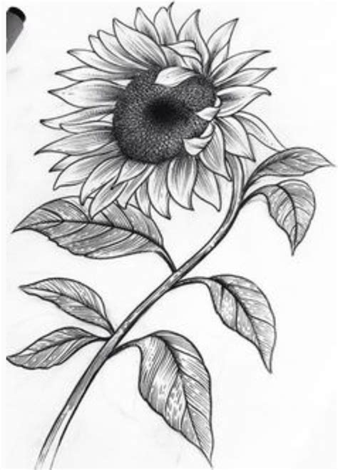 Dibujos De Girasoles Para Pintar En Tela Imagui Dibujos De Colorear