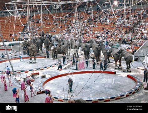 The Greatest Show On Earth Florida Hi Res Stock Photography And Images