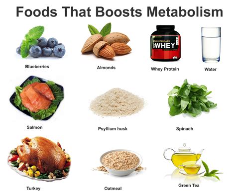 What Are The Best Foods For Building Muscle Revealed Health Articles